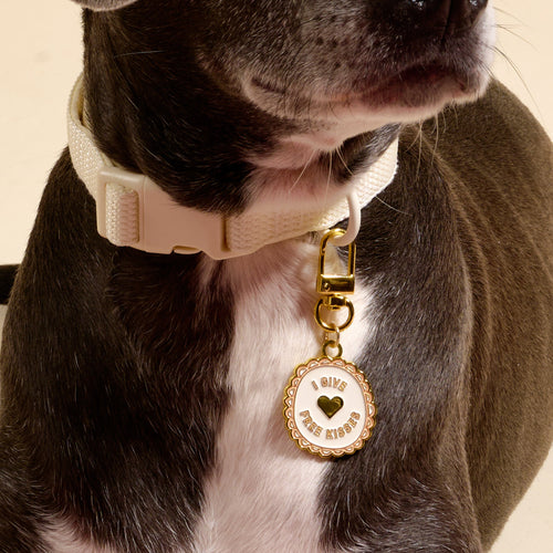 Dog wearing The Darling Effect's cream collar with the Free Kisses Pawfect Collar Charm, which is round, gold and white, reads "GIVE FREE KISSES" with a heart detail. The dog's face is partly out of frame, showcasing this cute pet accessory.