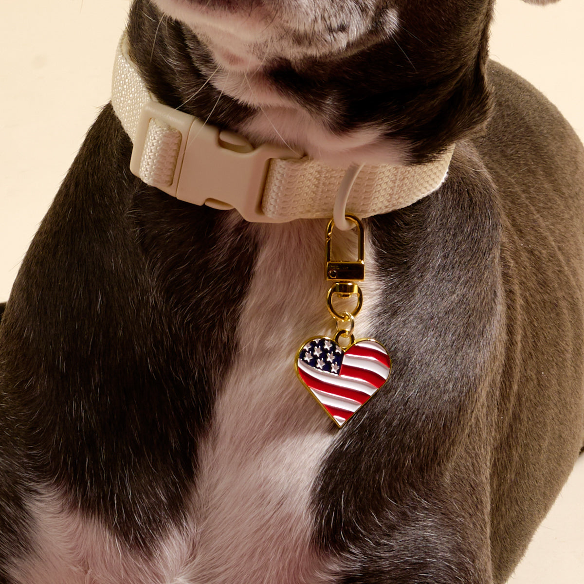 Americana Heart Pawfect Collar Charm