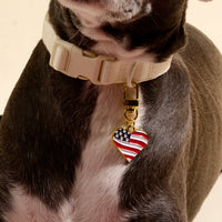 A close-up of a dog wearing a light-colored collar with The Darling Effect's Americana Heart Pawfect Collar Charm, displaying stylish pet accessories. Only the dog’s neck and front legs are visible.