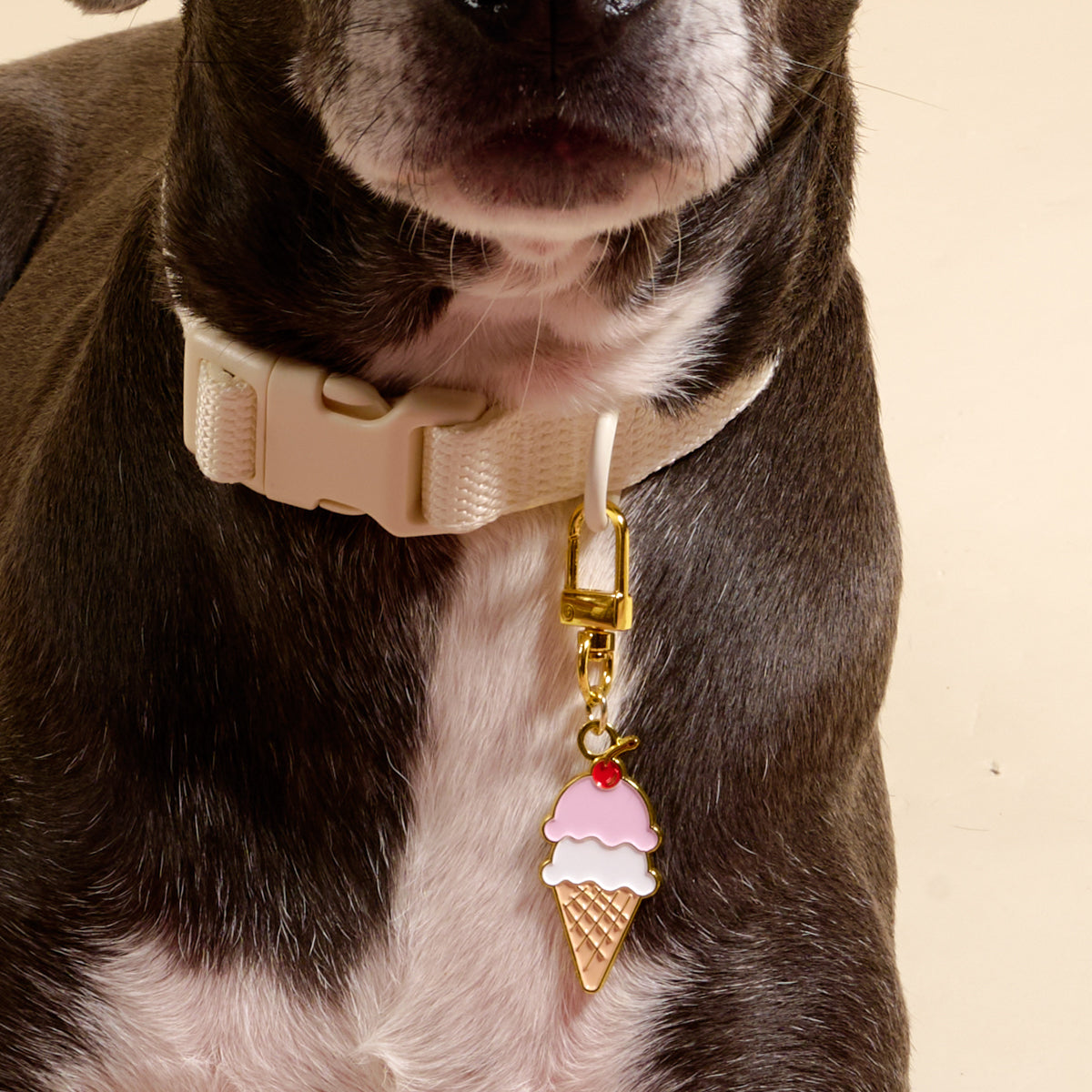 Ice Cream Cone Pawfect Collar Charm
