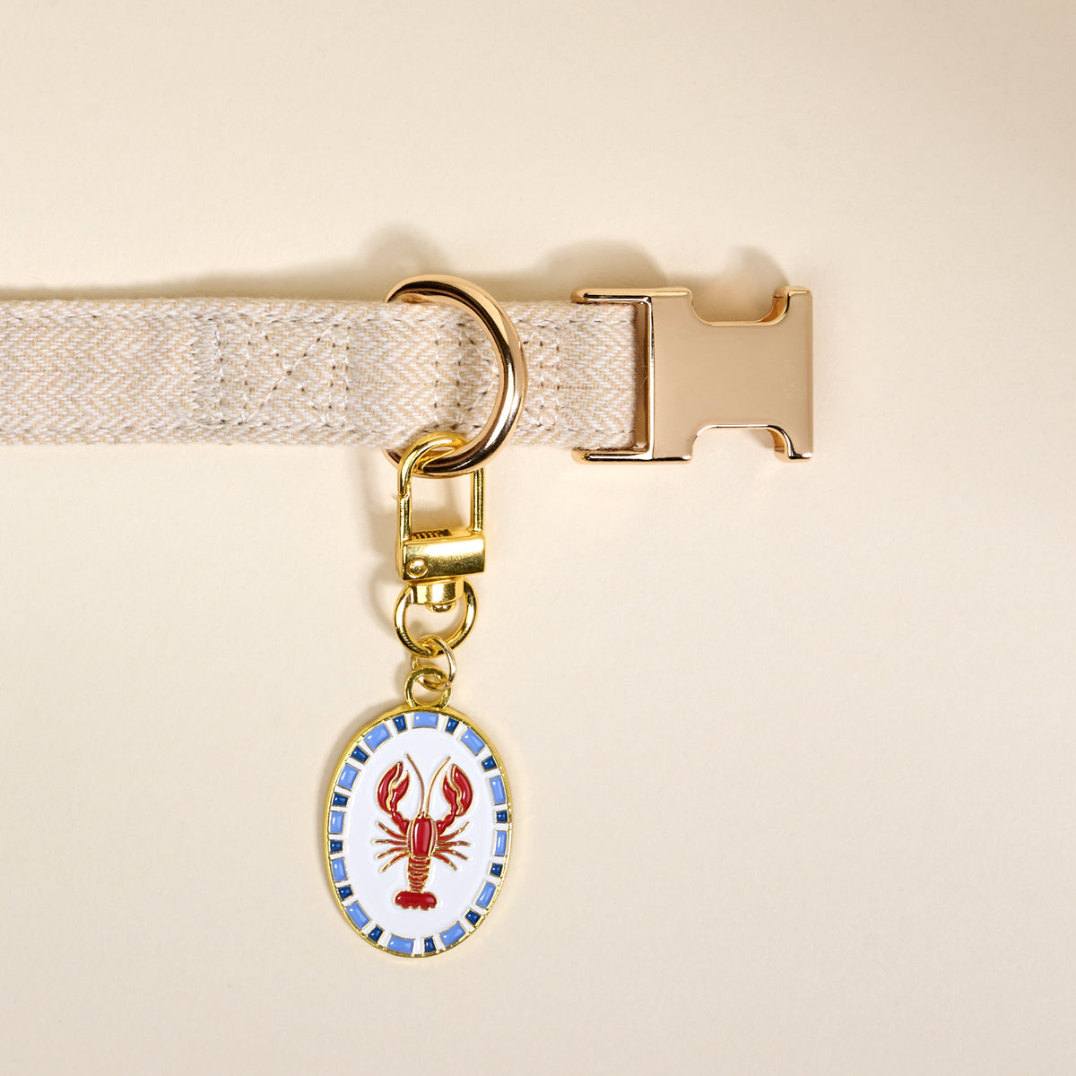 Lobster Pawfect Collar Charm