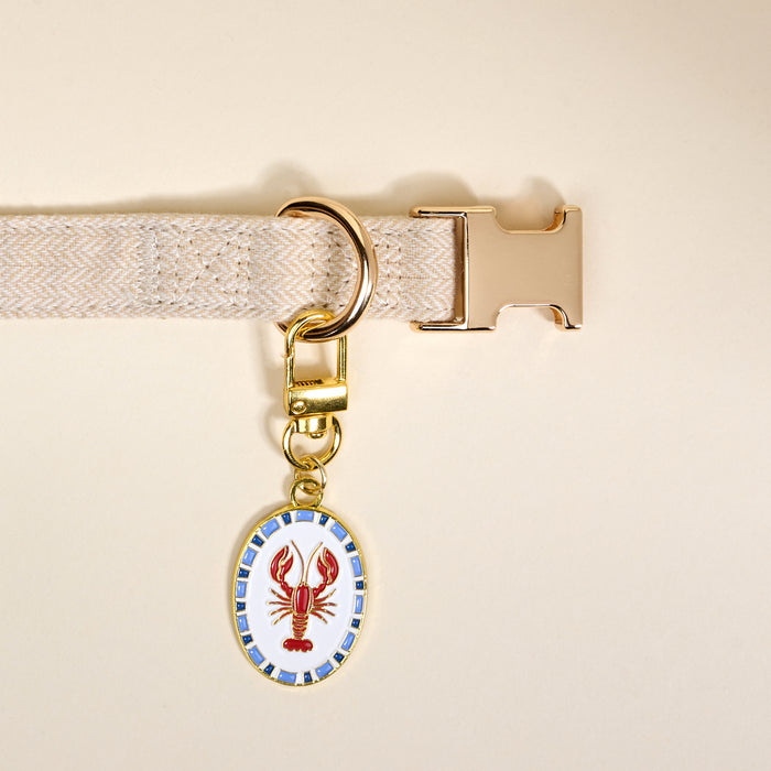 Lobster Pawfect Collar Charm