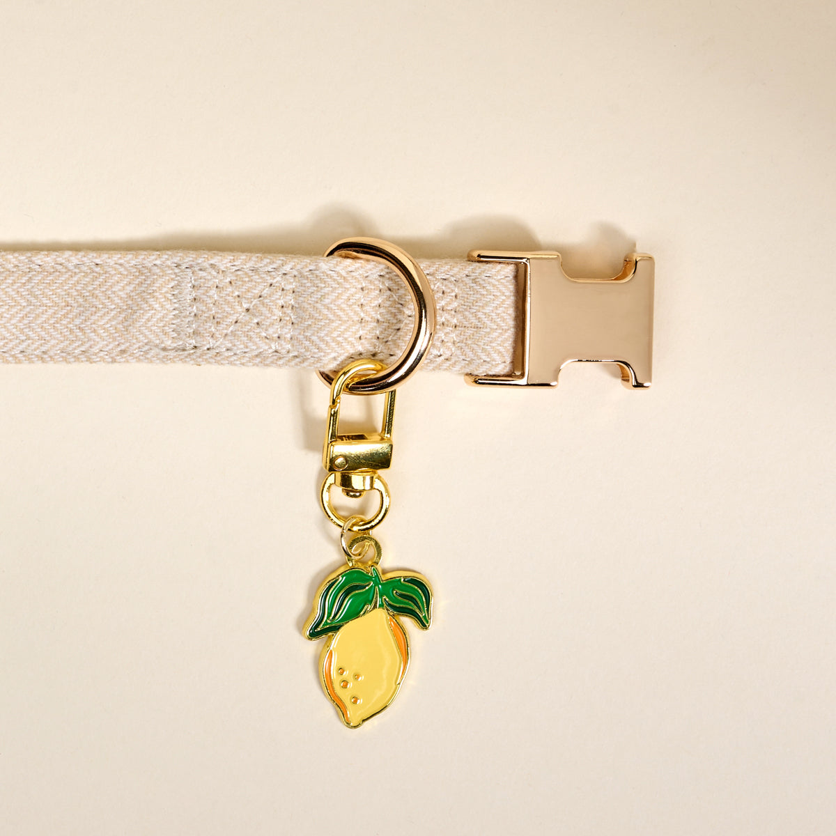 Lemon Pawfect Collar Charm