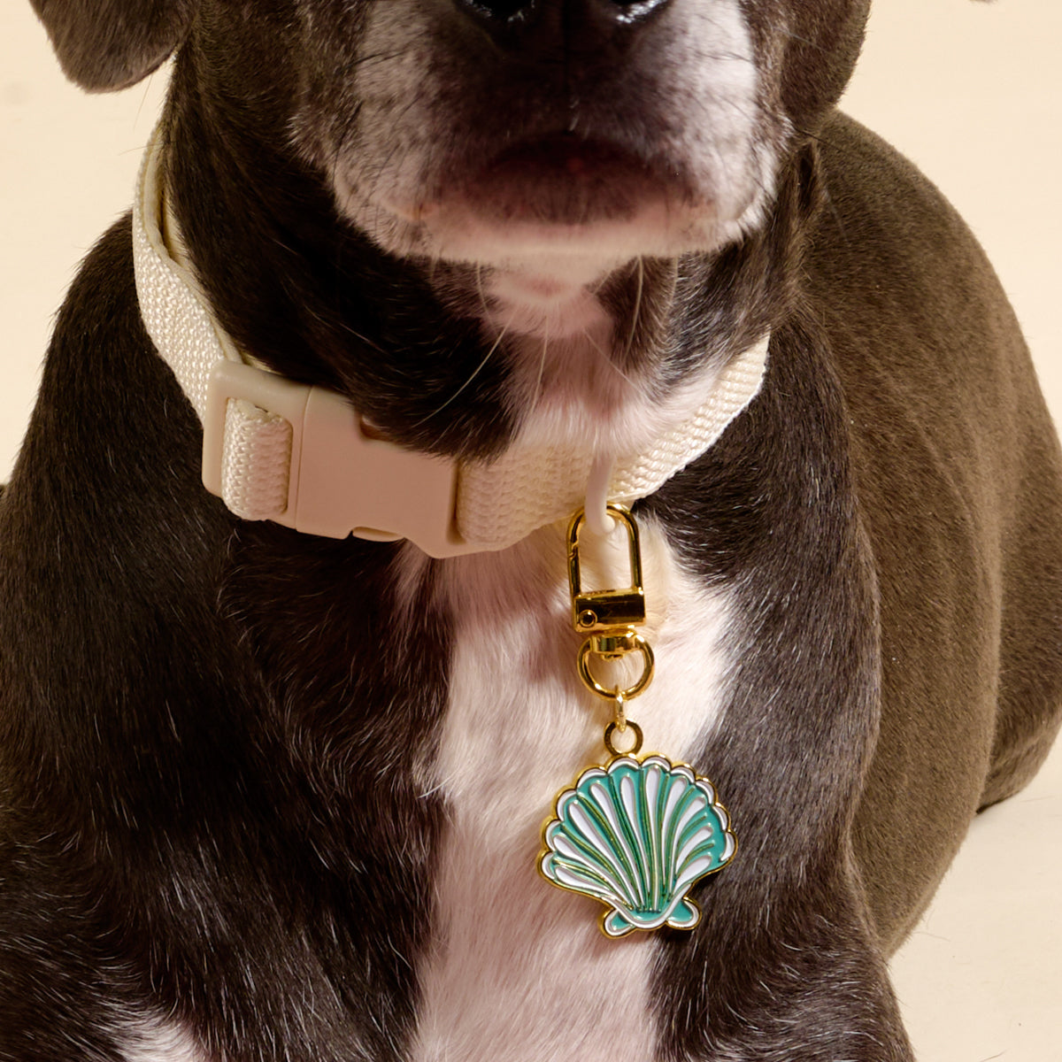 Seashell Pawfect Collar Charm