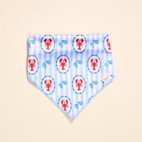 The Darling Effect’s Bow-Wow Pet Bandana-Harbor House showcases blue and white stripes with red lobsters and blue seashells, making it the perfect playful dog accessory for pet fashion lovers.