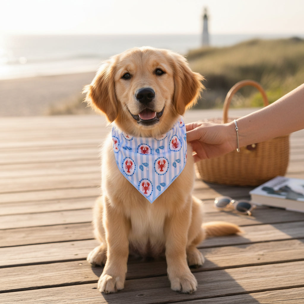 Wow Pet Bandana-Harbor House Bow