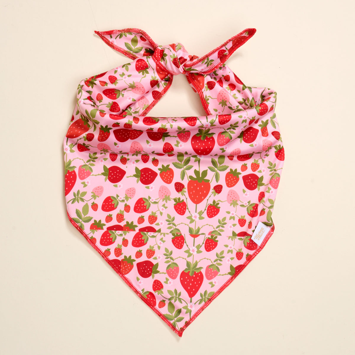 Wow Pet Bandana-Strawberry Fields Bow