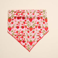 The Darling Effect’s Bow-Wow Pet Bandana-Strawberry Fields is a pink cotton accessory featuring red and pink strawberries with green leaves—the perfect fresh and stylish look for your dog.