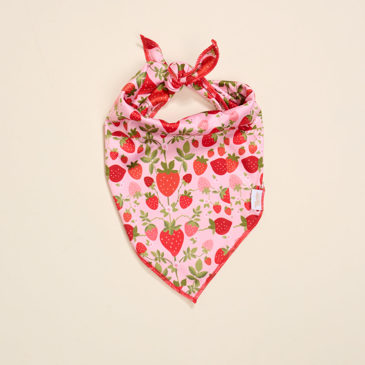 Wow Pet Bandana-Strawberry Fields Bow