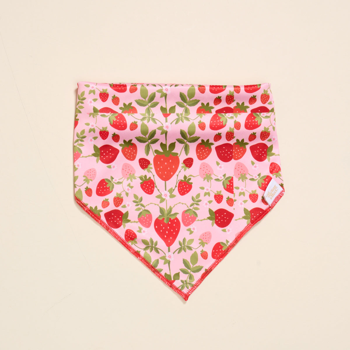 Wow Pet Bandana-Strawberry Fields Bow