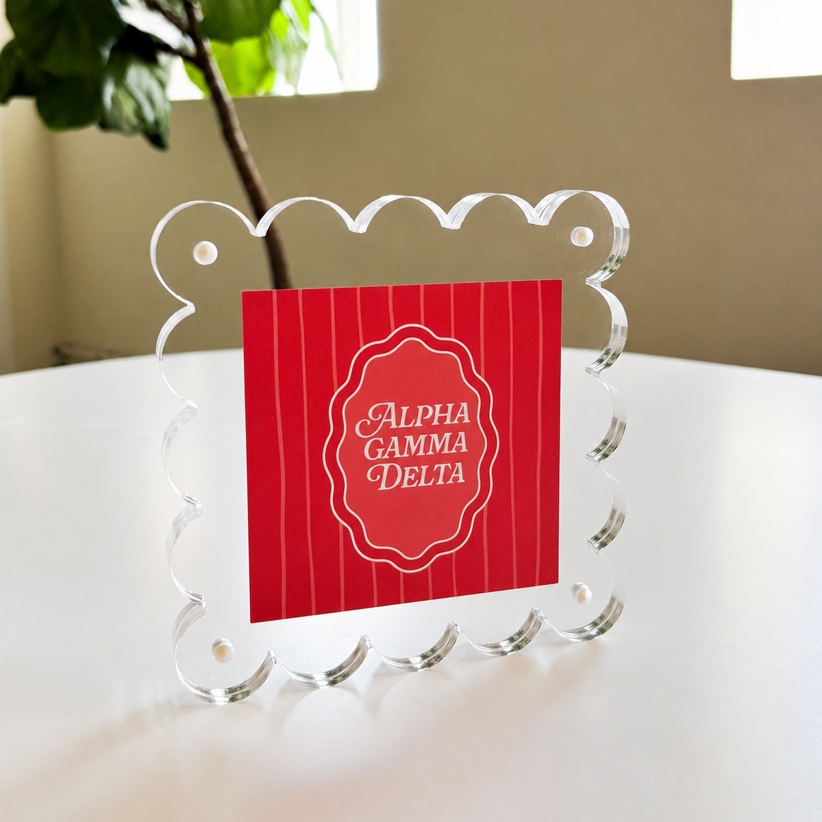 The Darling Effect’s Alpha Gamma Delta Square Scalloped Acrylic Frame displays a red card with white text reading "Alpha Gamma Delta," resting on a white table near a leafy plant and bright windows.