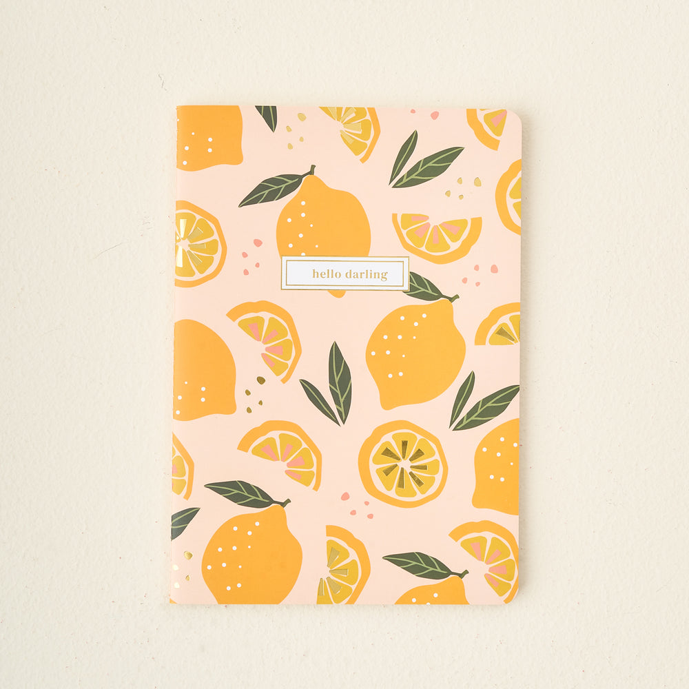 Citrus Notebook Set, Set of 3 Notebooks, College Ruled Pages