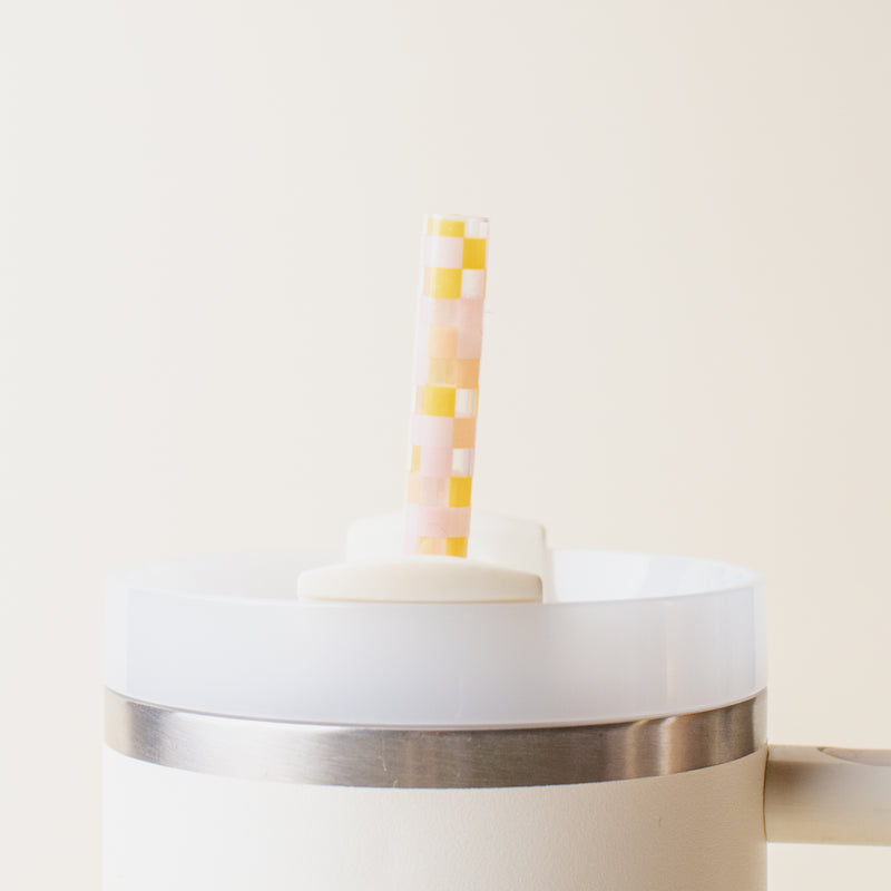 Check Peach 40 oz Tumbler Straw Set