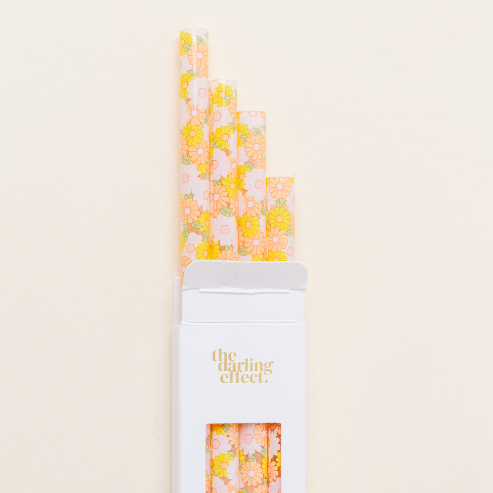 Daisy Craze Peach Tumbler Straw Set