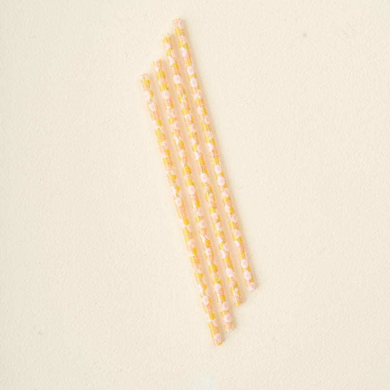 Daisy Craze Peach 40 oz Tumbler Straw Set
