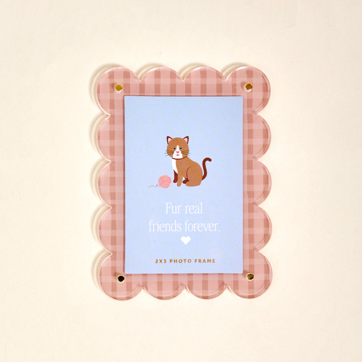 Cool Cat Mini Acrylic Picture Frame Magnet