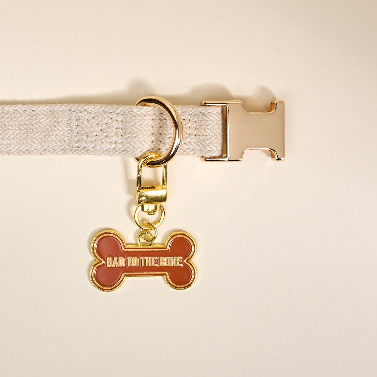 Bad to the Bone Pawfect Collar Charm