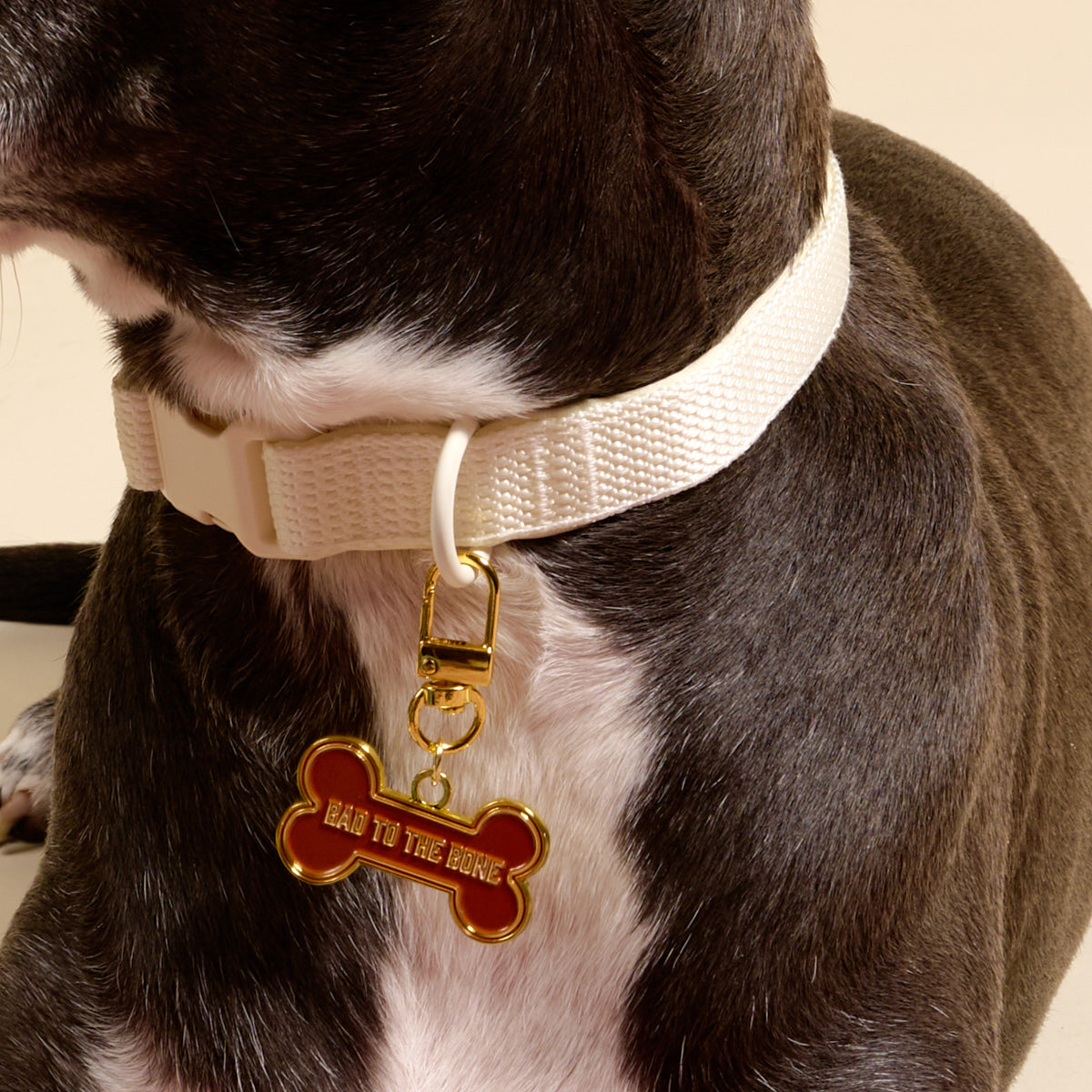 Bad to the Bone Pawfect Collar Charm