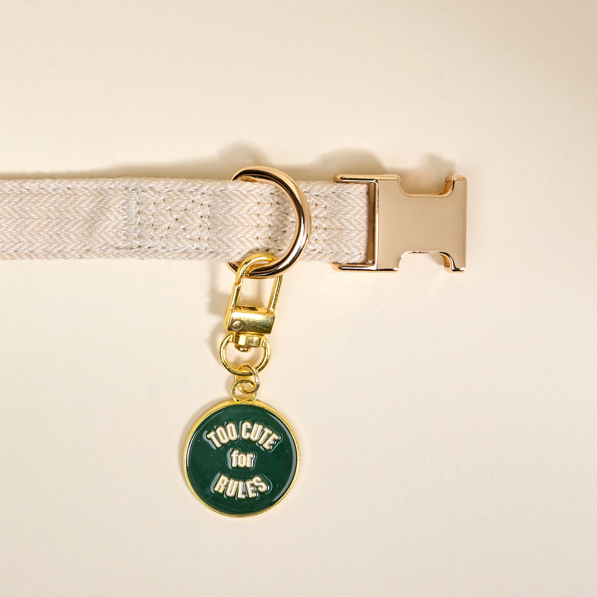 Too Cute for Rules Pawfect Collar Charm