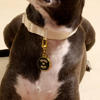A black and white dog wears The Darling Effect's Too Cute for Rules Pawfect Collar Charm—a round gold tag on a white collar—partially out of frame, showing off its adorable pet accessory style.