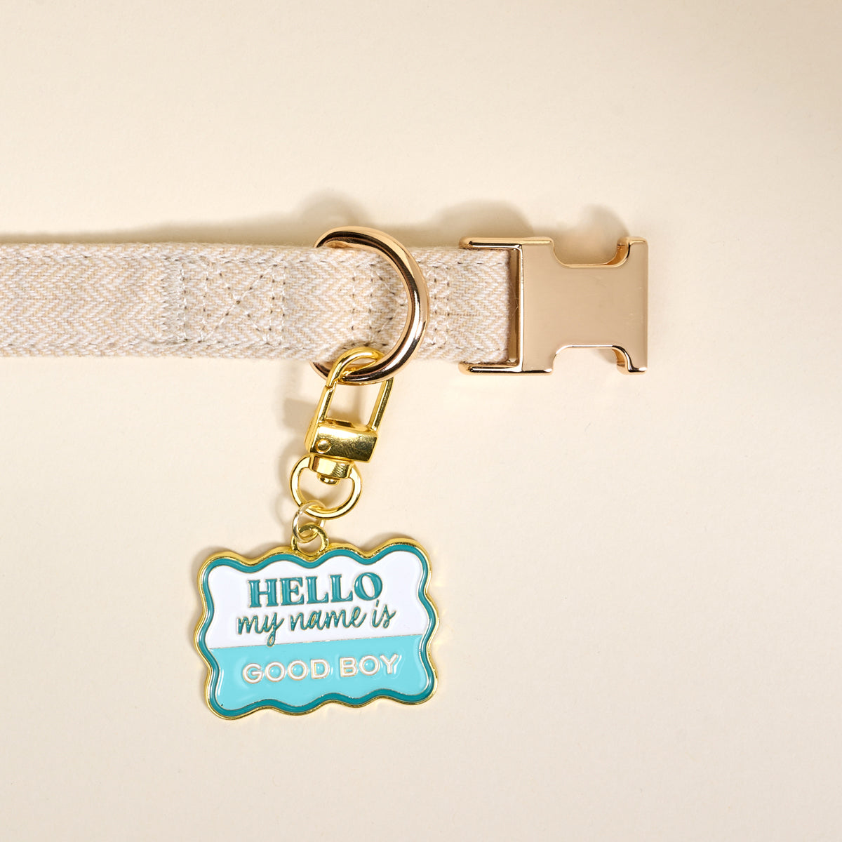 Good Boy Pawfect Collar Charm