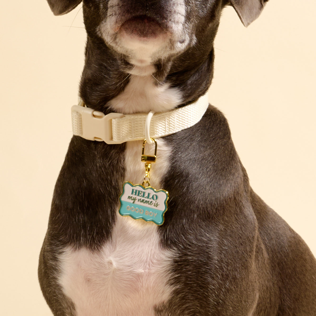 Good Boy Pawfect Collar Charm