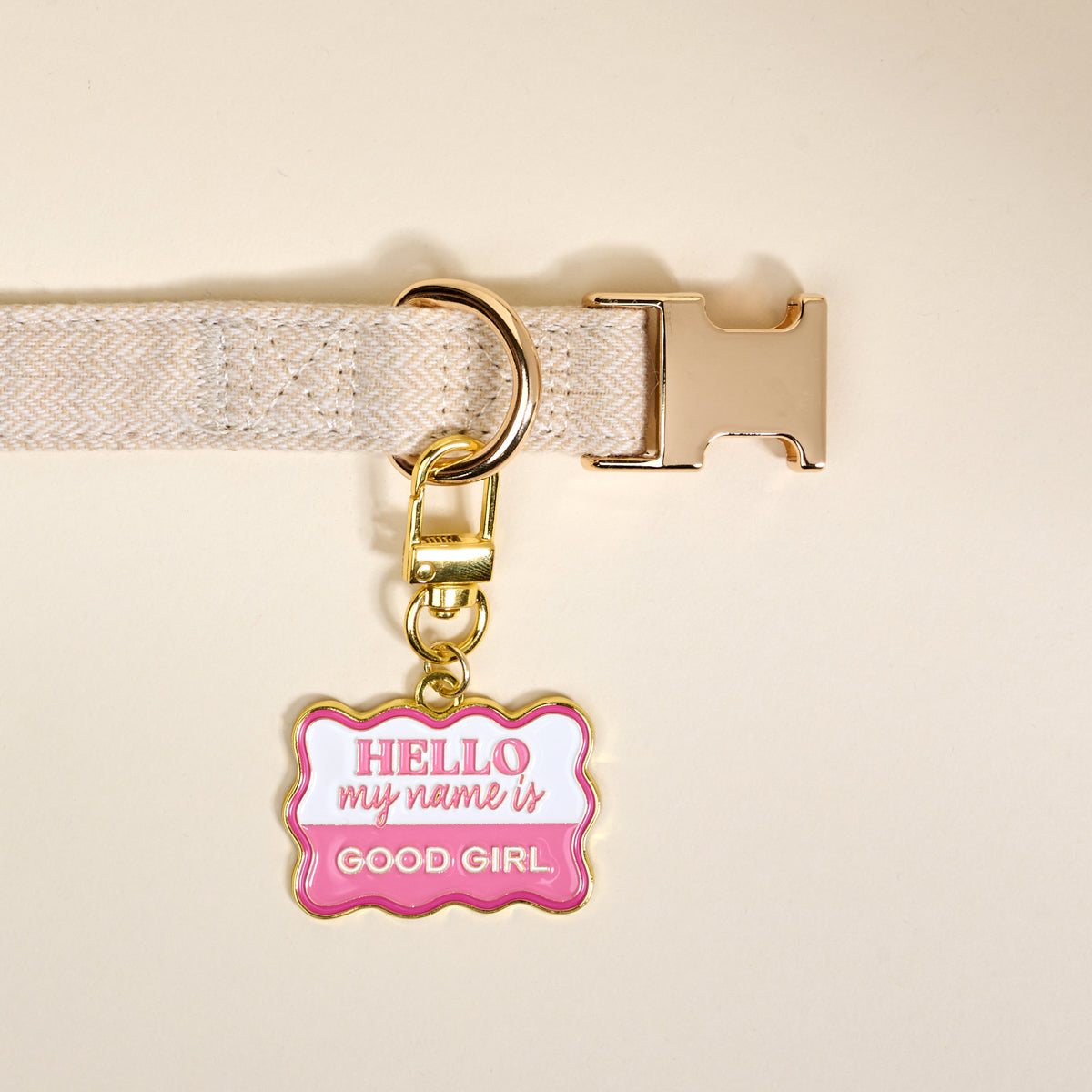 Good Girl Pawfect Collar Charm