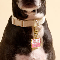 A close-up of a black and white dog wearing The Darling Effect’s Good Girl Pawfect Collar Charm, featuring a pink and gold tag, adds adorable style to her white collar. The dog's mouth and chest are also visible.