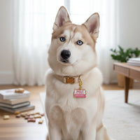 A blue-eyed Siberian Husky with beige and white fur sits indoors, wearing The Darling Effect's Good Girl Pawfect Collar Charm. Pet accessories and dog treats are scattered on the wooden floor beside books in a cozy, sunlit room.