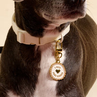 A close-up of a dog wearing The Darling Effect's cream collar with the Free Kisses Pawfect Collar Charm, which is round, gold and white, reads "GIVE FREE KISSES" with a heart detail. The dog's face is partly out of frame, showcasing this cute pet accessory.