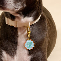 A close-up of a dog's neck highlights The Darling Effect's Oversized Lap Dog Pawfect Collar Charm, a colorful tag on a white collar that adds playful style and draws attention to the dog’s short dark fur and white chest patch.