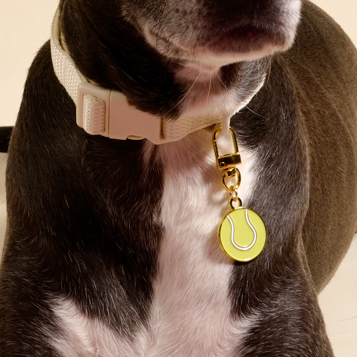 Tennis Ball Pawfect Collar Charm