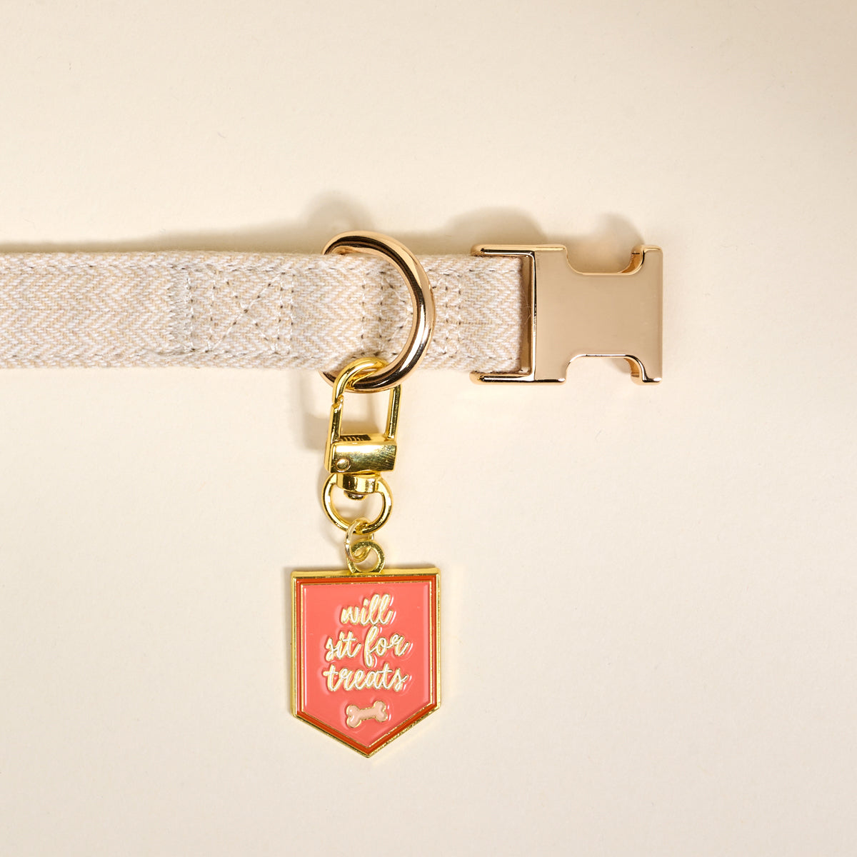 Will Sit for Treats Pawfect Collar Charm