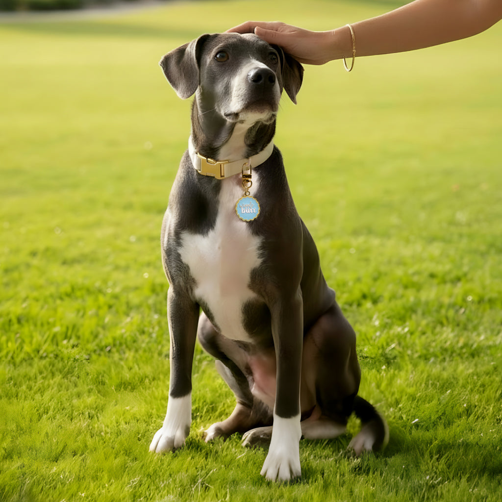 Wiggle Butt Pawfect Collar Charm