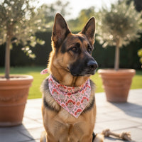 A German Shepherd sports The Darling Effect's Bow-Wow Pet Bandana-Everbloom Dusty Rose on a sunlit patio with potted plants and greenery—a perfect showcase of stylish pet fashion.
