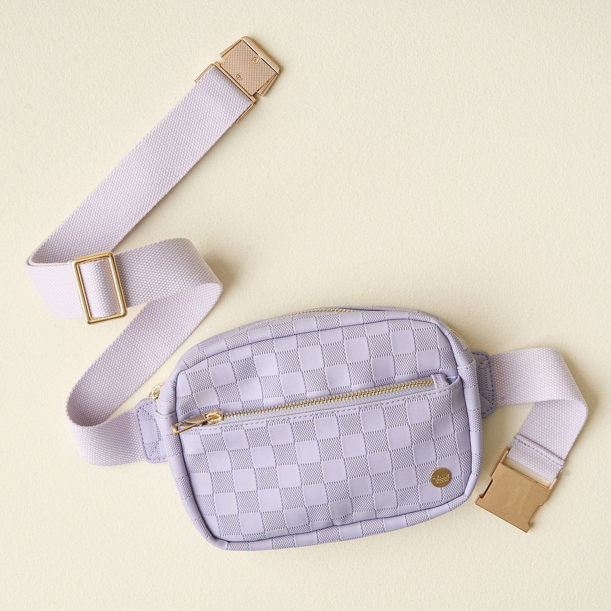 Periwinkle Urban Check Belt Bag